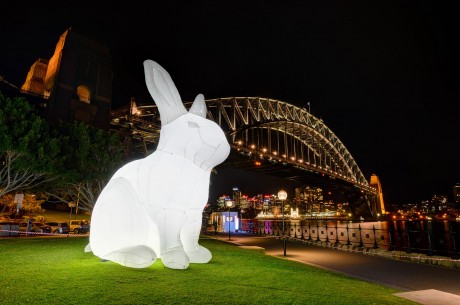 Previous installation by artist Amanda Parer, under Sydney Harbour Bridge